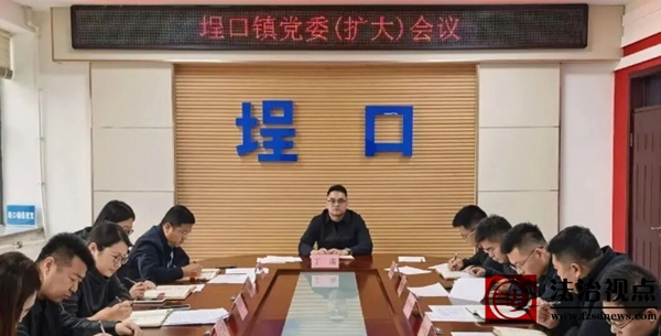 埕口镇召开党委（扩大）会议