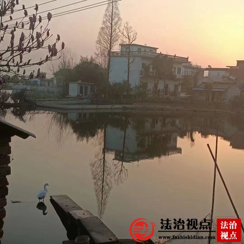 金乡县：我的家乡新变化