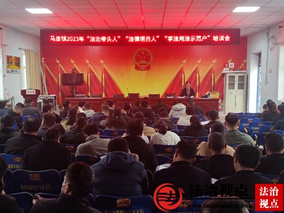 金乡县马庙镇召开2023年第一季度“法治带头人”“法律明白人”“学法用法示范户”培训会