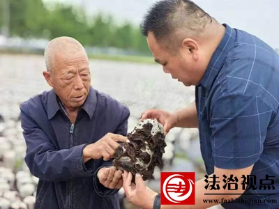 郯城县杨集镇：种下黑木耳 开出“致富花”