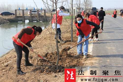 郯城县高峰头镇：绿满沂蒙花满村 无边风景四时新