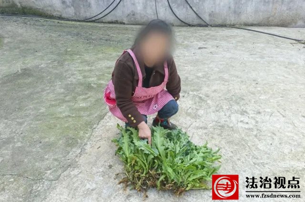 这个事情整不得！沾化区富源街道又有人被拘