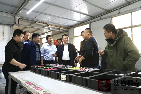 山东大学体育学院副教授丁庆建，市体育局党组成员、副局长董凤家带队到下洼镇调研