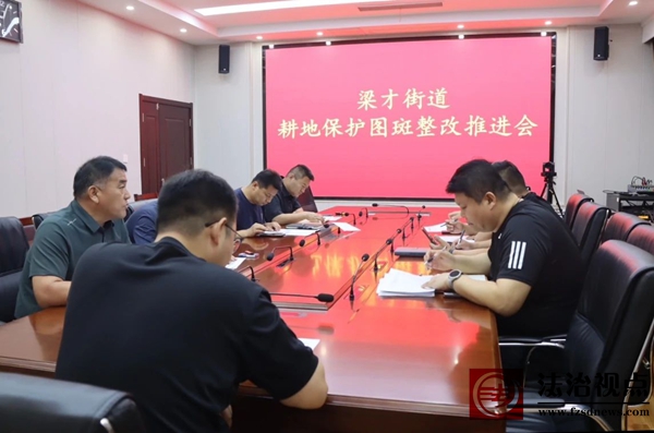 梁才街道召开耕地保护图斑整改推进会