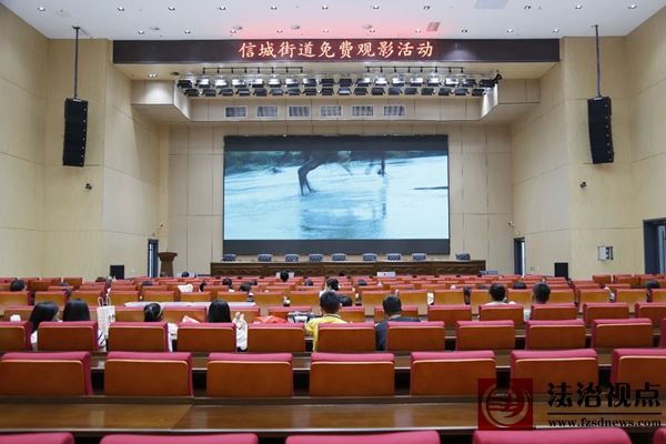 信城街道：家门口观影乐享精彩 白板墙共话光影期待