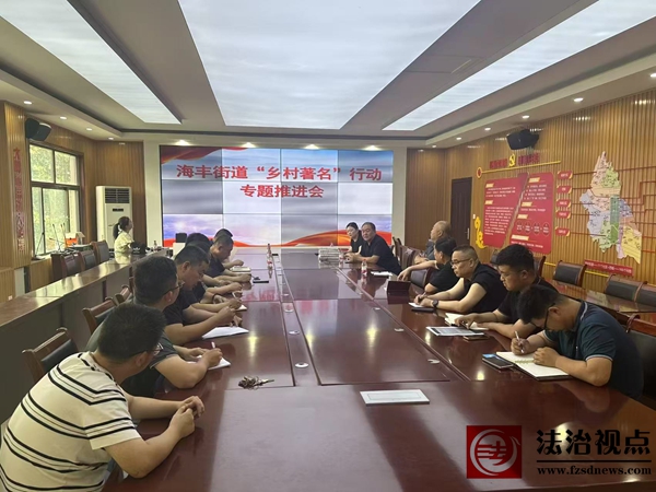 海丰街道召开“乡村著名行动”专题推进会