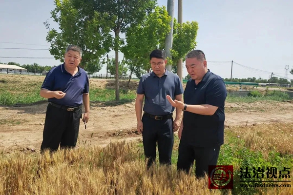 无棣县政协主席张恩传到西小王镇调研“三夏”生产和重点企业运行情况