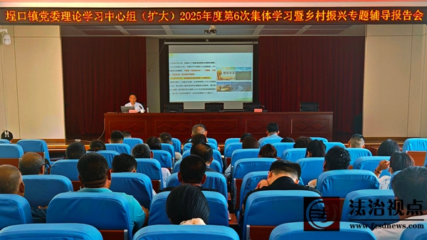 埕口镇党委理论学习中心组（扩大）举行2025年度第6次集体学习暨乡村振兴专题辅导报告会