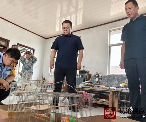 微信图片_2025-06-17_174116_134.jpg