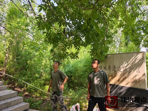 微信图片_2025-06-17_174120_349.jpg