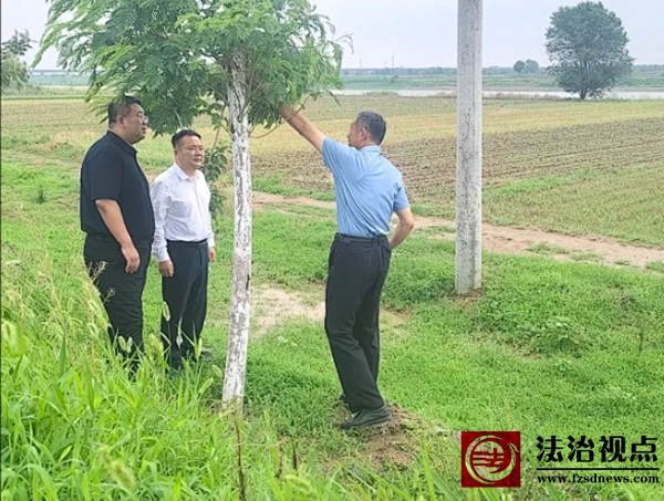 无棣小泊头：县委副书记窦彭波到小泊头镇督导环境整治和乡村产业