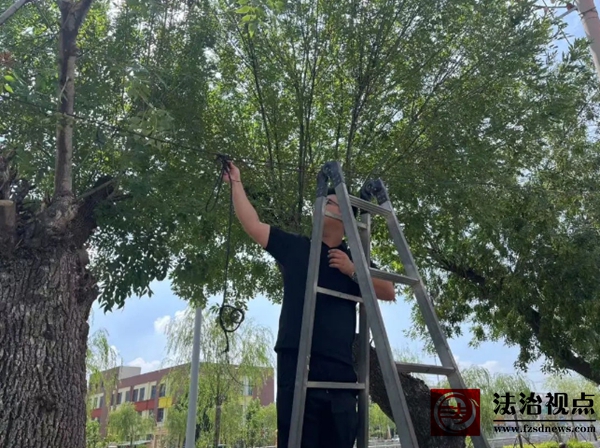 微信截图_20250717163723.jpg