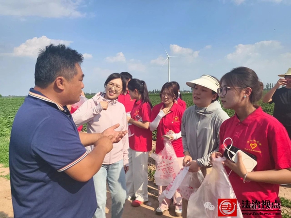 科普润心】青岛工程职业学院到流坡坞镇蜜薯基地开展大学生科普实践活动