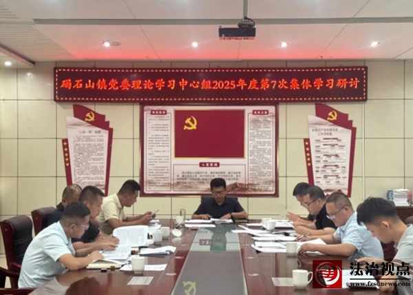 碣石山镇党委理论学习中心组开展2025年度第七次集体学习研讨