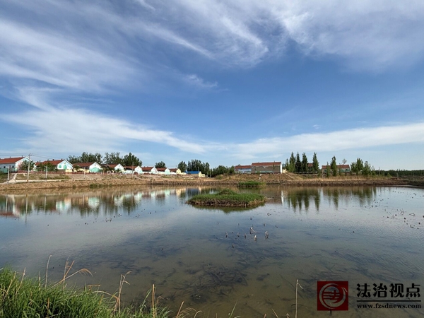 黄河岸畔“心安村居”——滨城区市中街道大刘村的振兴实践与民生画卷