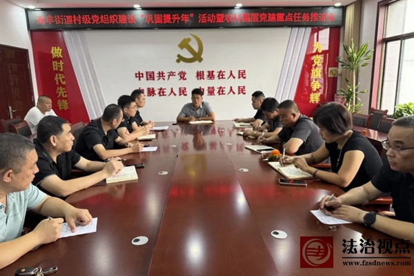 海丰街道召开村级党组织建设“巩固提升年”活动暨农村基层党建重点任务推进会