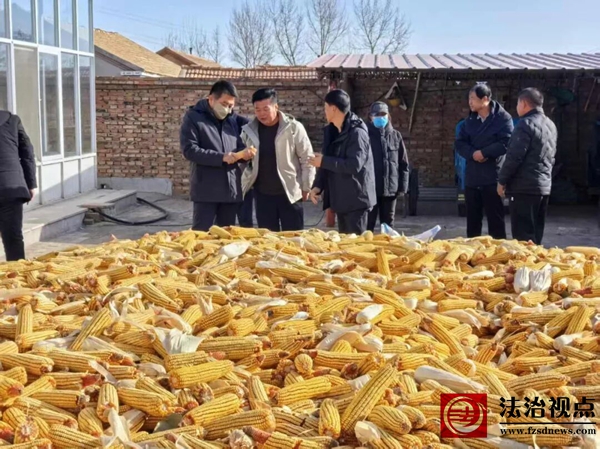 商旅下洼：下洼镇考察团赴正昌盛种业考察调研 共谋玉米产业发展