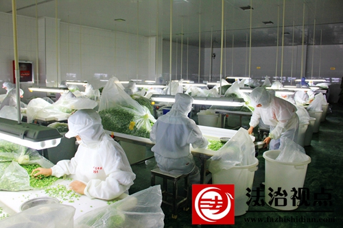 益匹马食品有限公司加工的小香葱调料打开了欧洲销售市场.JPG